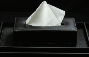 Rectangular Tissue Box