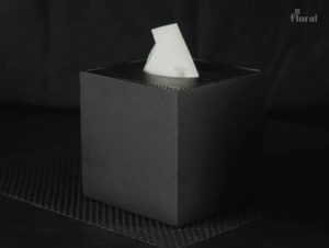 Tissue Box